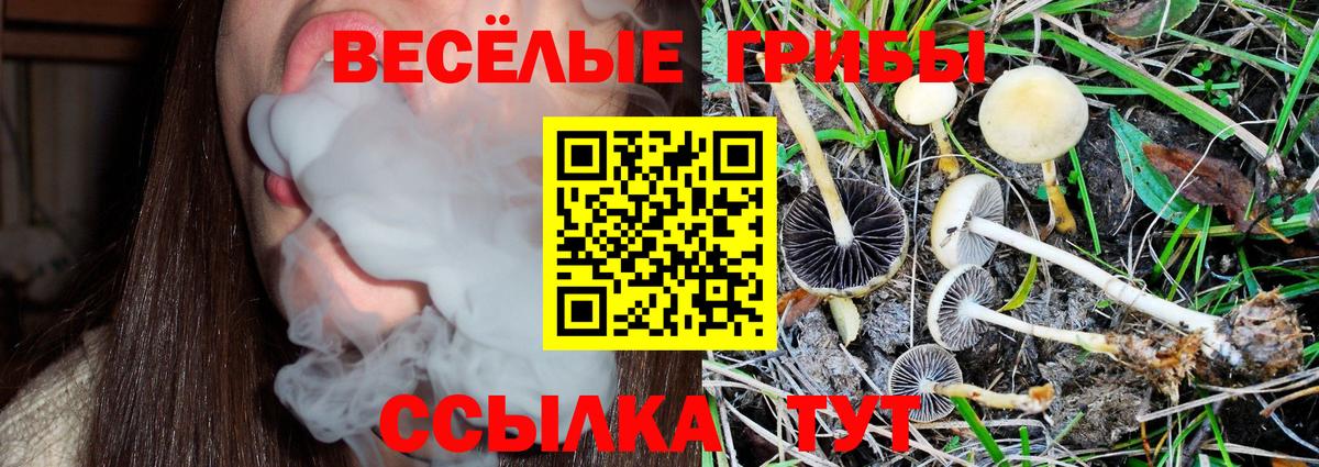 Галлюциногенные грибы MAGIC MUSHROOMS  Вход с VPN  Абинск 